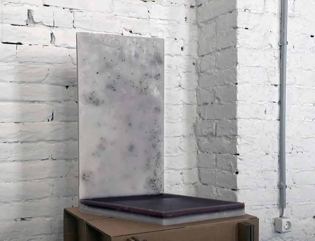 kipakol&aacute;s_2024_02