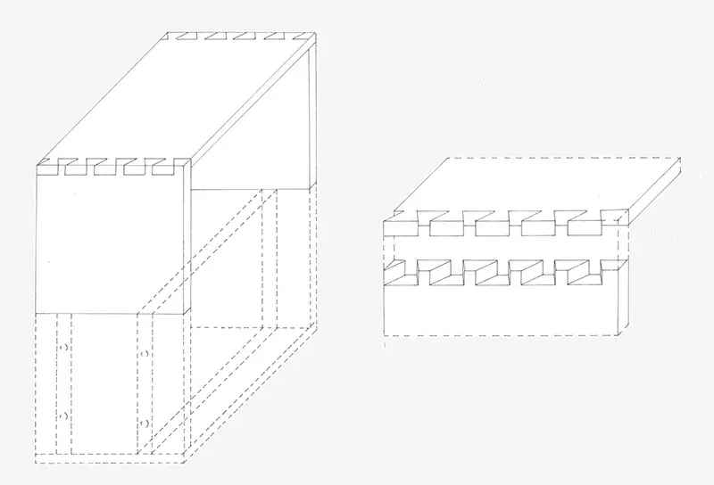 s&ouml;llei vir&aacute;g