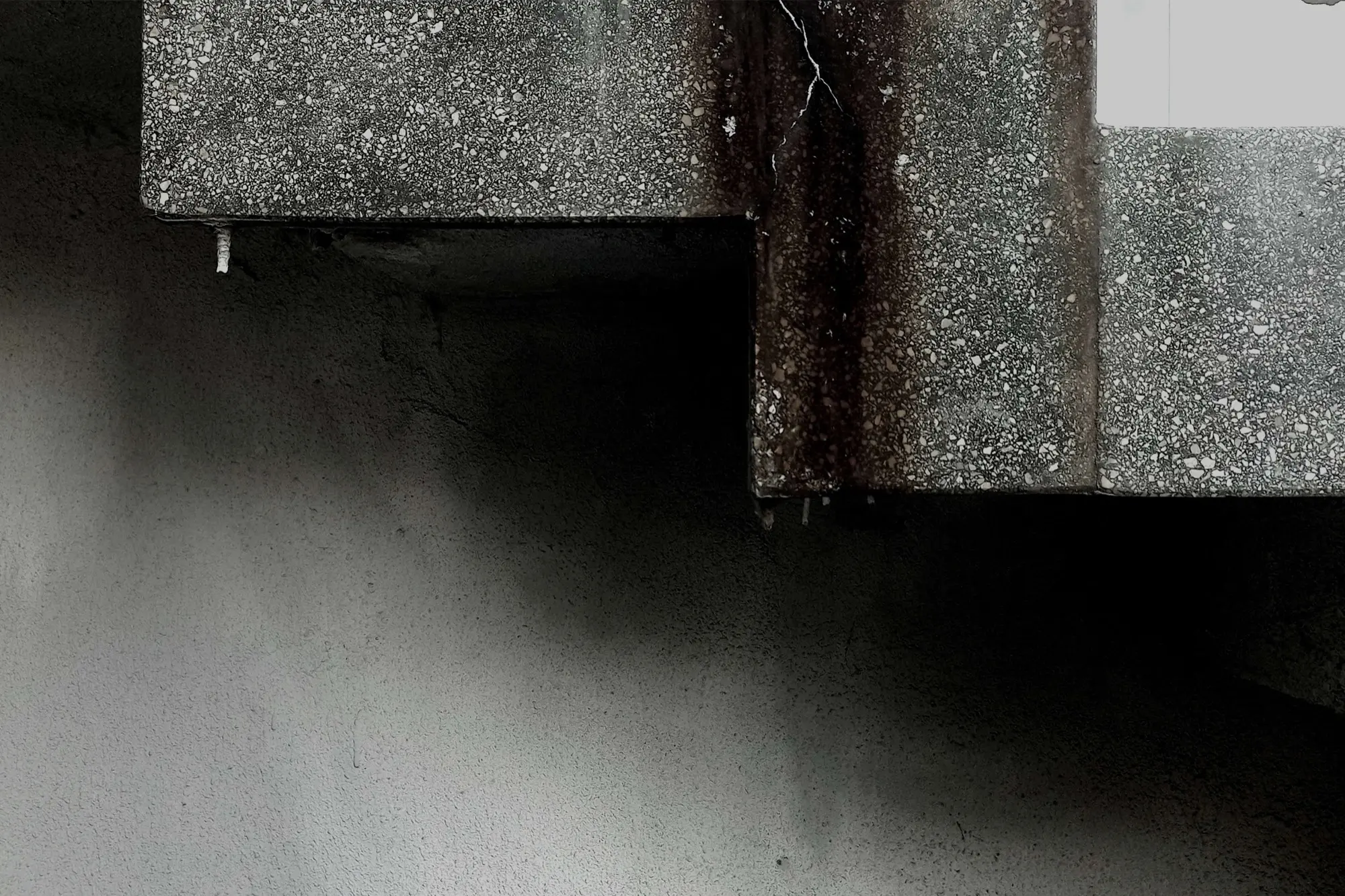 Mikol&aacute;s100_első d&iacute;j